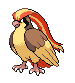 pidgeotto hình-ảnh-hoạt-hình-gif